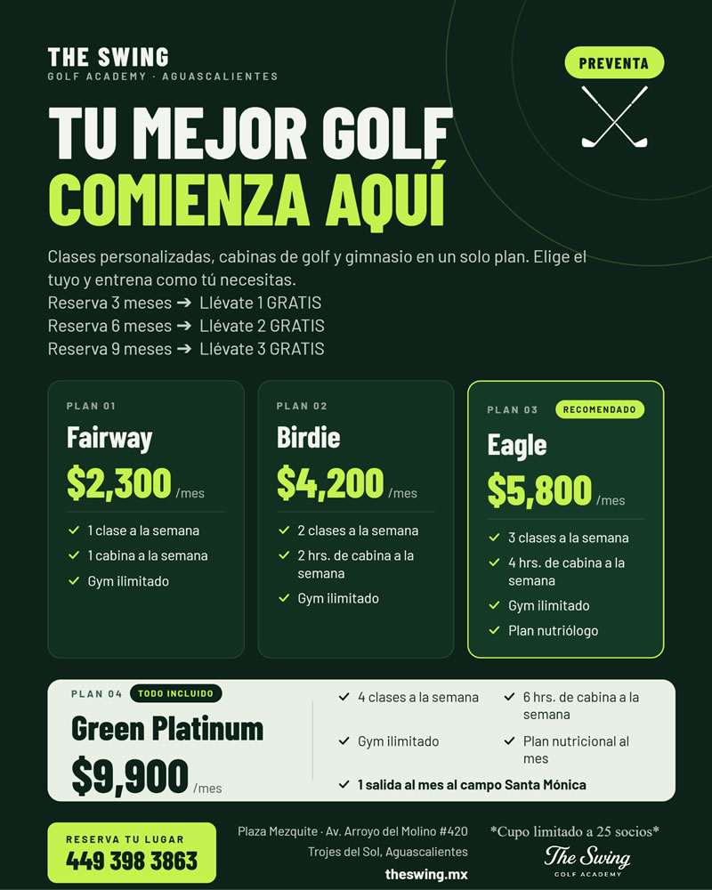 Aviso The Swing